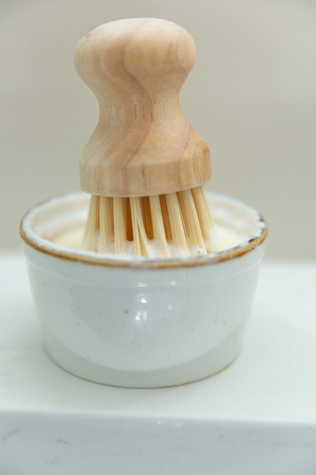 Solid Dish Soap Kit