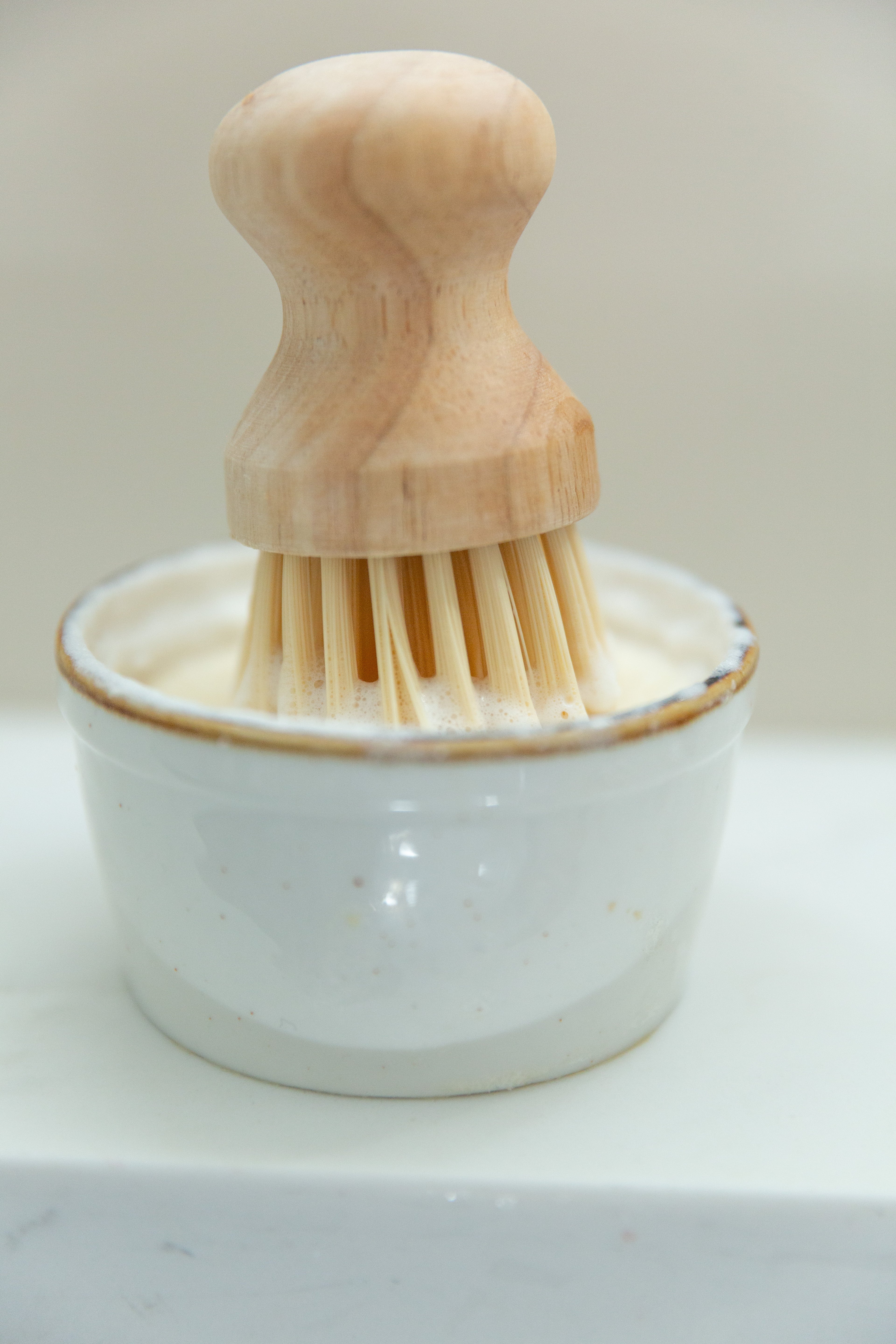 Solid Dish Soap Kit